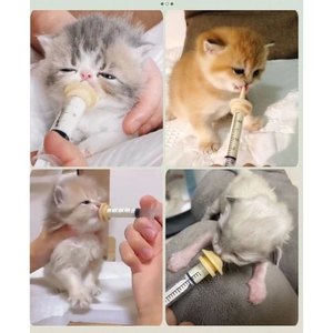 Syringe feeder with silicone nipple for kittens and puppies, multi-angle feeding demonstration
