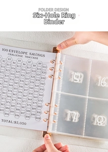 Detail of A5 binder with rose gold rings and transparent envelopes for 100 days challenge