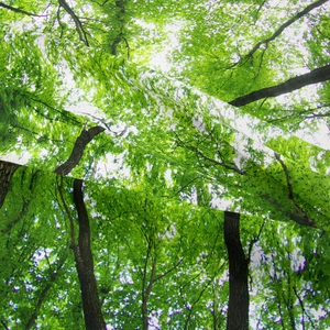 Dettaglio macro di stampa forestale ad alta precisione su tessuto con foglie e luce