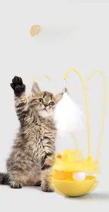 Action shot of a cat playing with a self-balancing tumbler toy with spinning feathers
