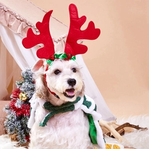 Detail of dog Christmas costume set with red reindeer antlers and green cape on a pet model