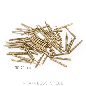 Macro detail of 30x2mm golden stainless steel connector pins and hardware components