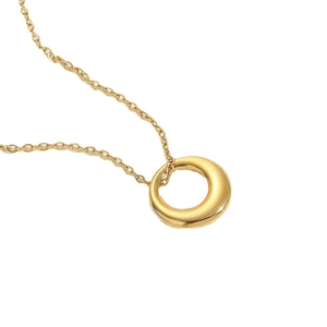 Minimalist 14K gold-plated titanium steel ring pendant necklace on white background