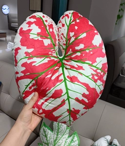 Detail of caladium leaf plush pillow with realistic red white and green vein patterns