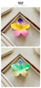 Close-up of matte frangipani hair claws in gradient rainbow and blue-green colors
