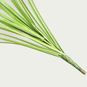 Nordic style green artificial pampas onion grass plant for minimalist home decor