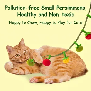 Catnip toy set featuring colorful felt persimmons with bells for indoor cat play and exercise