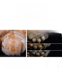 Macro detail of natural sandalwood grain showing color transition and crystalline texture