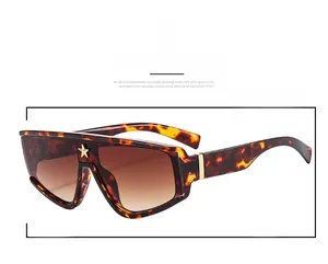 Detail view of tortoiseshell oversized sunglasses with gold star and brown gradient lenses