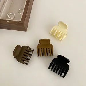 Piccola Pinza Per Capelli Elegante Opaca Acrilico Resina Supporto Per Coda Di Cavallo Fermaglio Per Donne Accessori Minimalisti