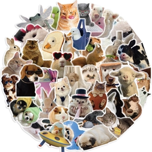 Close-up of assorted waterproof pet stickers with cute cat and dog meme designs