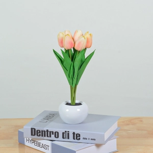 Detail of pink LED tulip night light in a white ceramic pot on decorative books