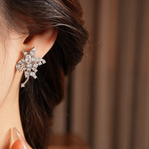 Detailed close-up of a silver star-shaped earring with zircon stones worn by a model