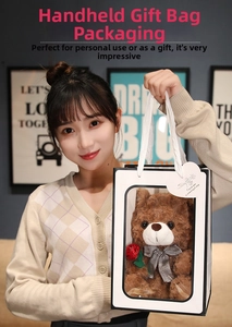 Detail of dark brown teddy bear with red rose in a clear gift bag held by a model
