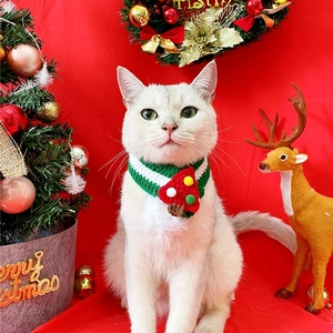 Close-up of a white cat wearing a knitted Christmas tree collar on a festive red background