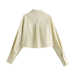 Back view of a cropped long-sleeve striped shirt in beige with dark pinstripes