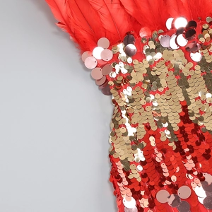Close-up of red feathers and gold sequins on a glamorous evening party dress detail