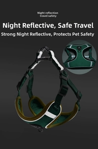 Detail of dark green reflective dog harness showing reinforced straps and metal rings
