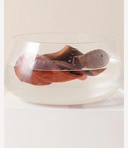 Water immersion test showing breathable cotton material of red-brown mid-calf sock