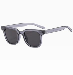 Detail view of model ZM3817 showing grey frame and black lenses with inner temple specs