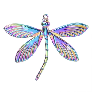 Detailed close-up of dragonfly pendant with rainbow electroplated finish and loop