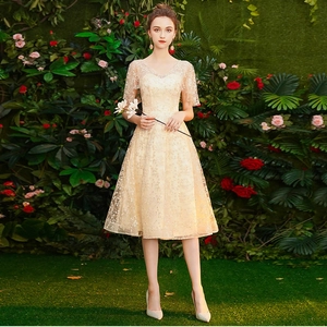 Detail of elegant champagne lace cocktail dress with V-neck and floral embroidery
