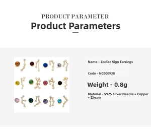 Detail showing S925 silver 12 zodiac stud earrings with cubic zirconia and star designs