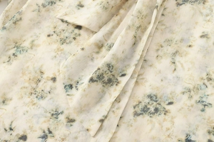 Détail macro du tissu popeline à motif floral vintage bleu et marron sur blanc
