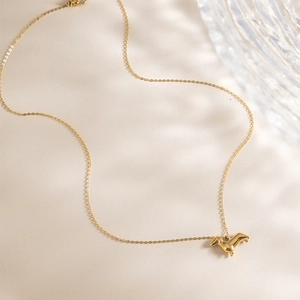 Detailopname van gouden roestvrijstalen teckel hanger ketting op minimalistische basis