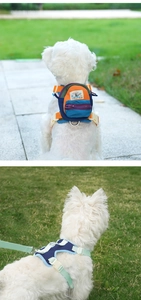 Macro view of adjustable pet harness with a color-block mini backpack and white buckle