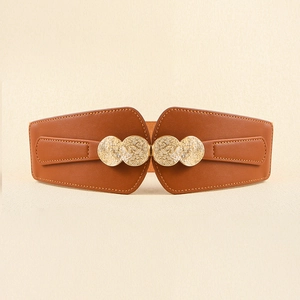 Detail of brown elastic wide belt with three ornate gold relief buckle discs for dresses