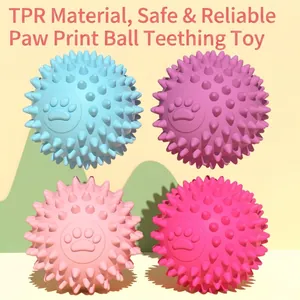Durable TPR pet dental chew balls with paw prints in four vibrant Morandi colors
