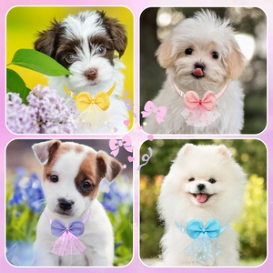 Adjustable glitter lace pet bowties for cats and dogs in four vibrant colors