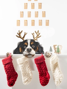 Close-up of knitted Christmas stockings with reindeer dog wall stickers and numbered labels