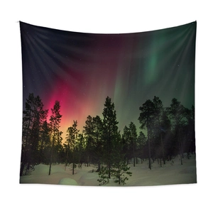 Vista dettagliata dell'arazzo con aurora boreale su foresta innevata e stelle