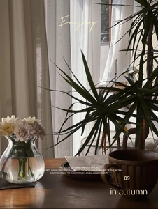 Cozy autumn setting with floral vase and striped ceramic mug against a warm sunlit window