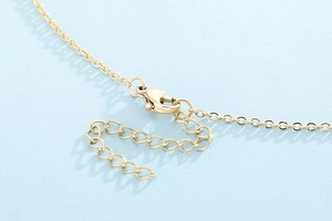 Macro shot of gold stainless steel necklace with lobster clasp and adjustable extension chain