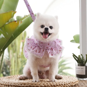 Detail of purple floral pet harness with white lace trim and matching leash for dogs