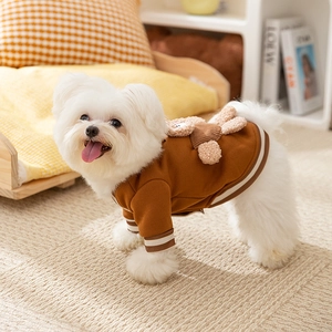 Cute brown dog hoodie with plush bear decor on a white Maltese in a cozy room