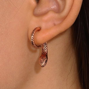 Boucles d'oreilles serpent vintage en bronze avec écailles pour un style punk audacieux