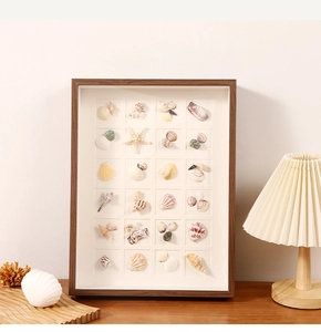 Detalle del cuadro para colección de conchas de madera con estrellas de mar naturales