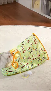 Detail of mint green cat tunnel with cartoon patterns, orange trim and hanging plush toy ball