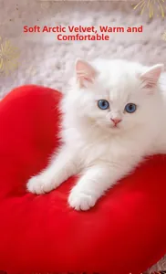 Detail of soft red Arctic velvet cat bed material with a cute white kitten sleeping
