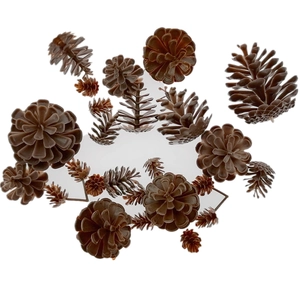 Detailed overhead view of various brown plastic pinecones for Christmas home decoration
