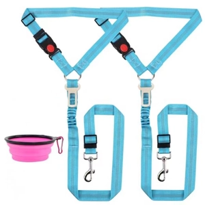 Deux ceintures de sécurité en nylon bleu clair et un bol pliable en silicone rose