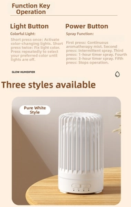 Close-up of birdcage aroma diffuser with mist settings and light control buttons
