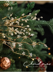 Detail of Christmas tree branch with transparent star and sparkling crystal particles