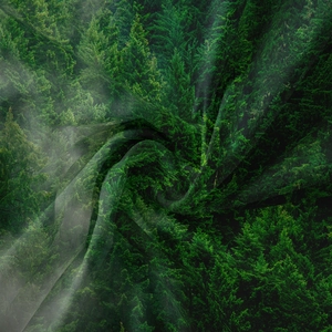 Detailed close-up showing the soft textile texture and realistic forest digital print