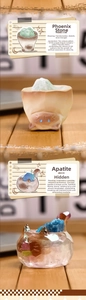 Detail of healing crystals in cat jars including phoenix stone and apatite stones
