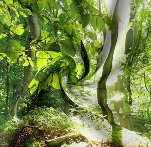 Close-up detail of forest print fabric with realistic green foliage and soft texture